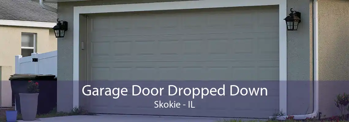 Garage Door Dropped Down Skokie - IL