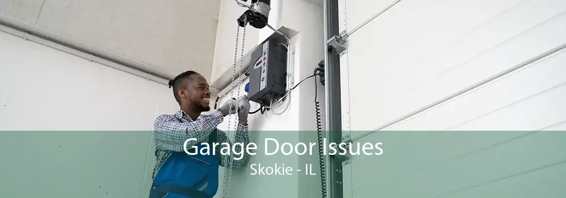 Garage Door Issues Skokie - IL