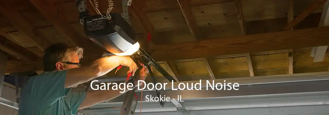 Garage Door Loud Noise Skokie - IL