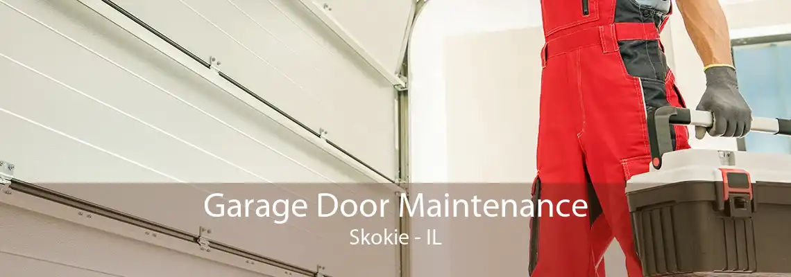 Garage Door Maintenance Skokie - IL