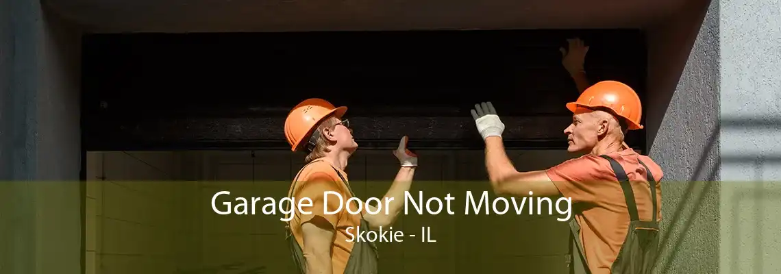 Garage Door Not Moving Skokie - IL