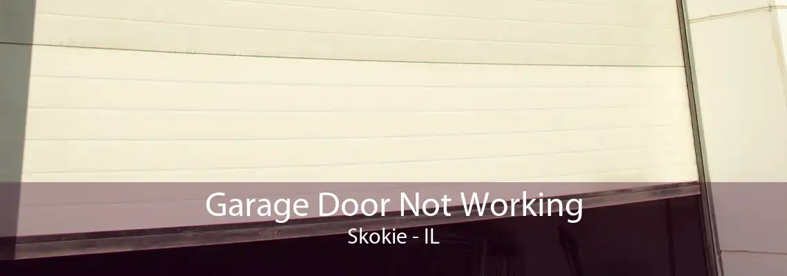 Garage Door Not Working Skokie - IL