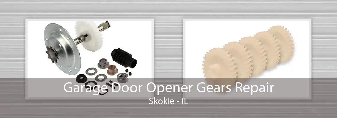 Garage Door Opener Gears Repair Skokie - IL