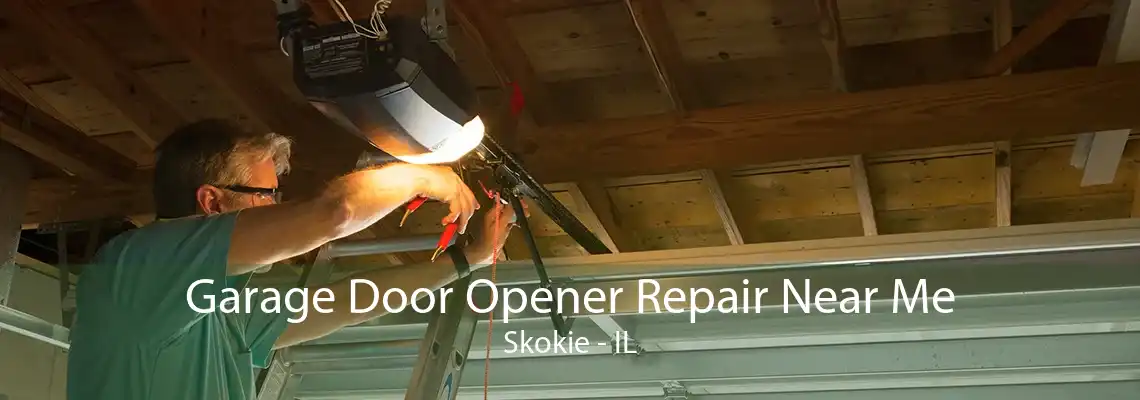 Garage Door Opener Repair Near Me Skokie - IL