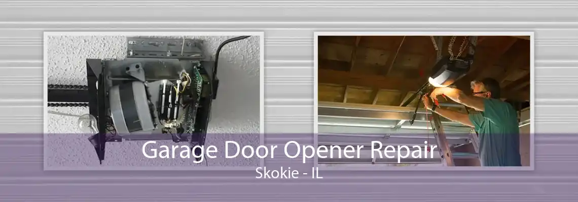 Garage Door Opener Repair Skokie - IL