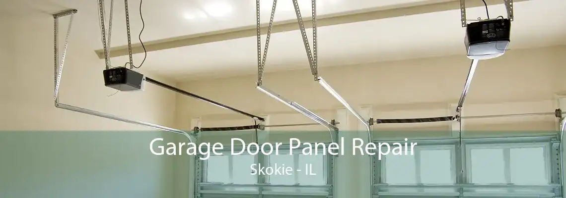 Garage Door Panel Repair Skokie - IL