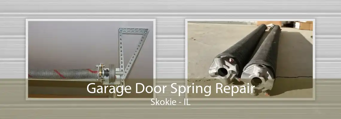 Garage Door Spring Repair Skokie - IL