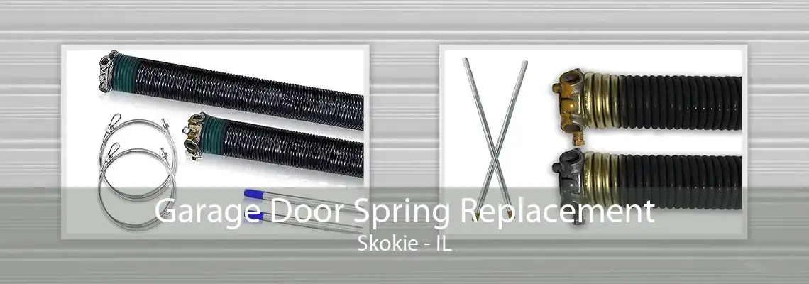 Garage Door Spring Replacement Skokie - IL