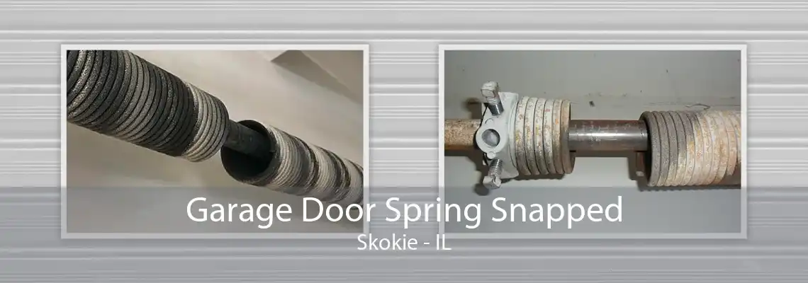 Garage Door Spring Snapped Skokie - IL