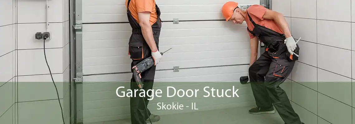 Garage Door Stuck Skokie - IL