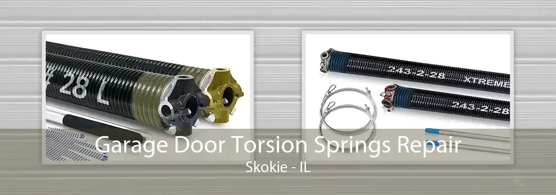 Garage Door Torsion Springs Repair Skokie - IL