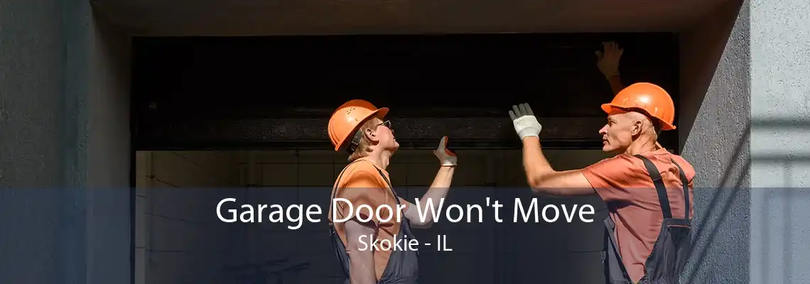 Garage Door Won't Move Skokie - IL