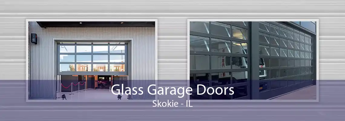 Glass Garage Doors Skokie - IL