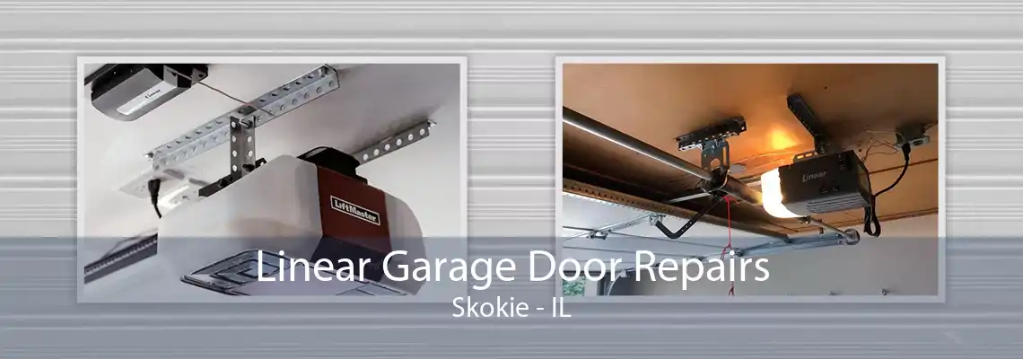 Linear Garage Door Repairs Skokie - IL