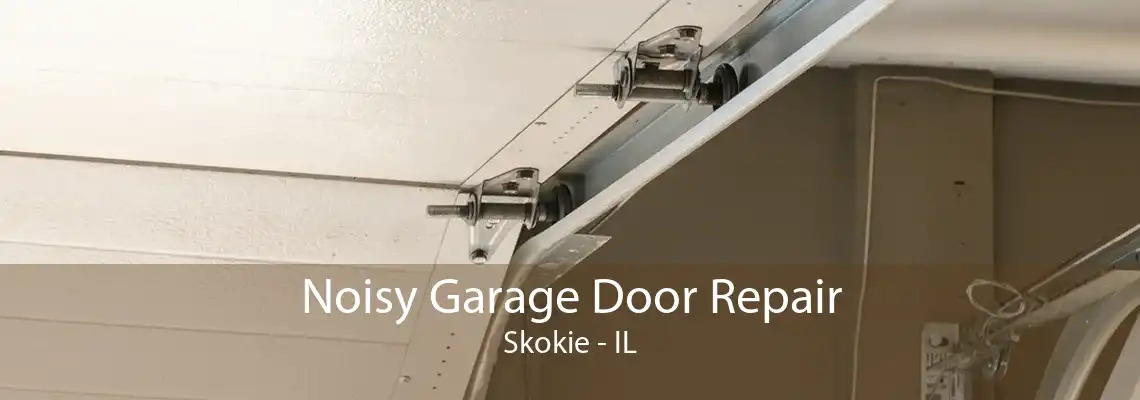 Noisy Garage Door Repair Skokie - IL