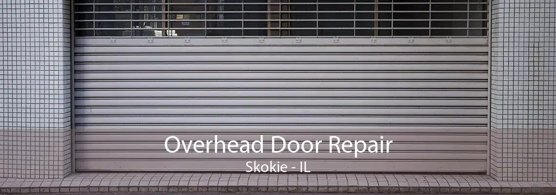 Overhead Door Repair Skokie - IL