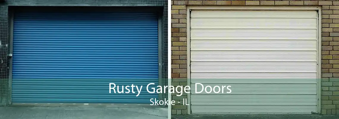 Rusty Garage Doors Skokie - IL